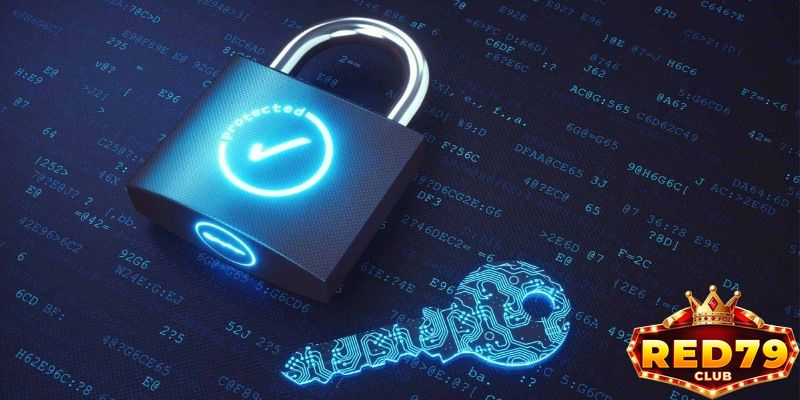 Điều khoản về bảo mật và tài khoản cược Red79