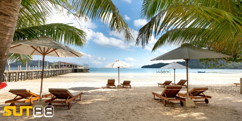 Digital Detox – Nghỉ dưỡng cho tâm trí giữa thời đại số